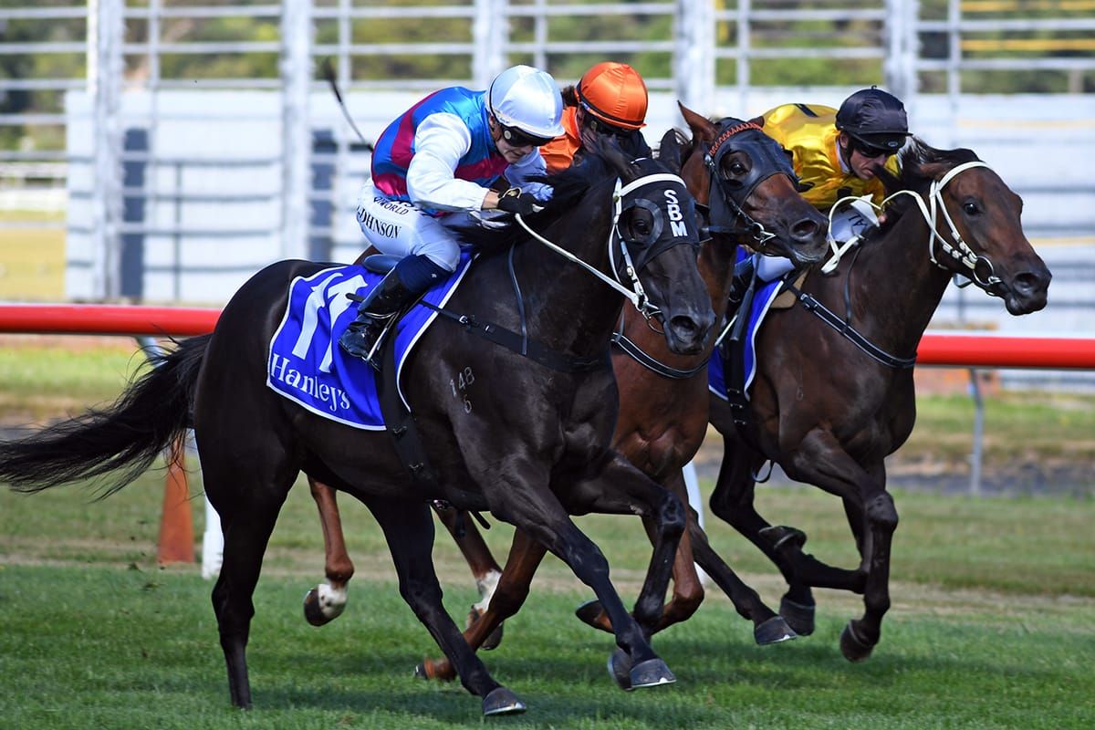 Expensive colt in prime order for stakes debut