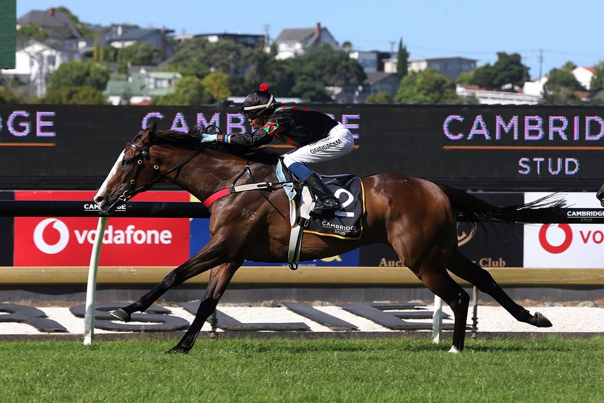 Warhorse Tiptronic triumphs in Zabeel Classic