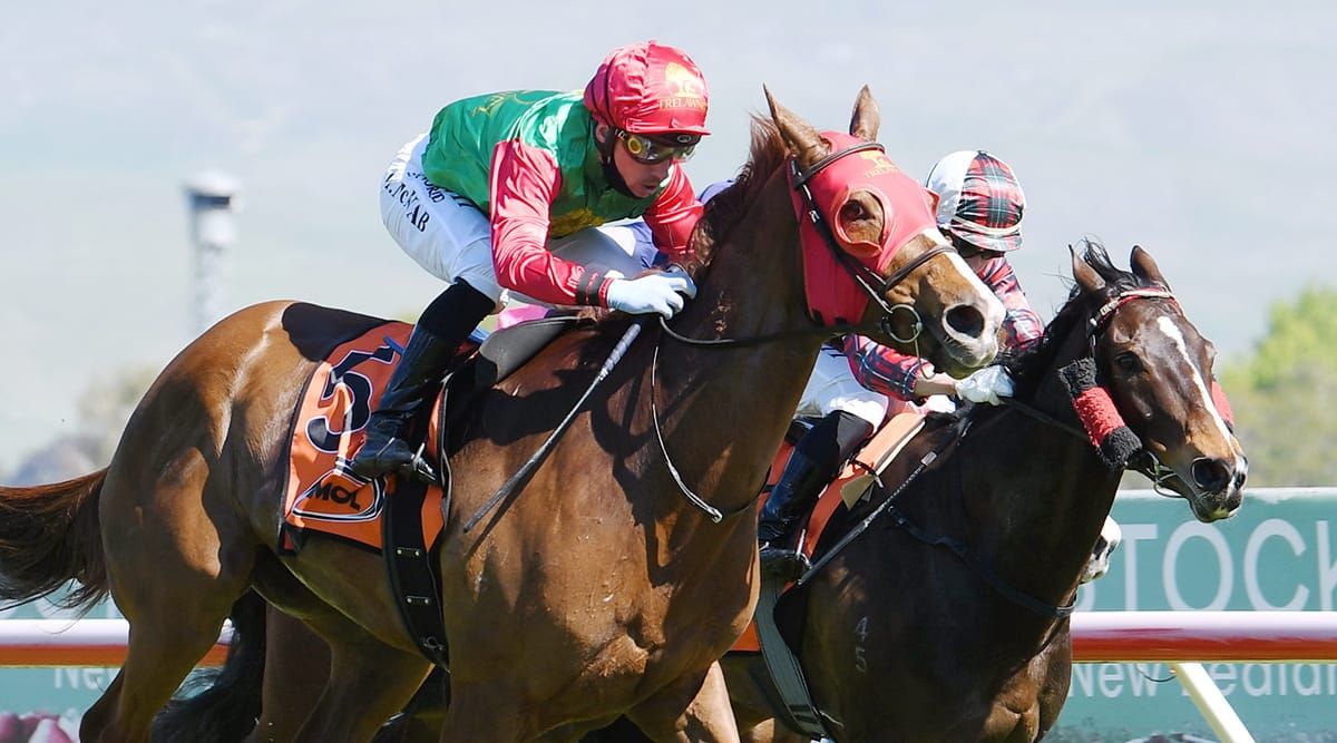 Two Illicit in prime order for Captain Cook