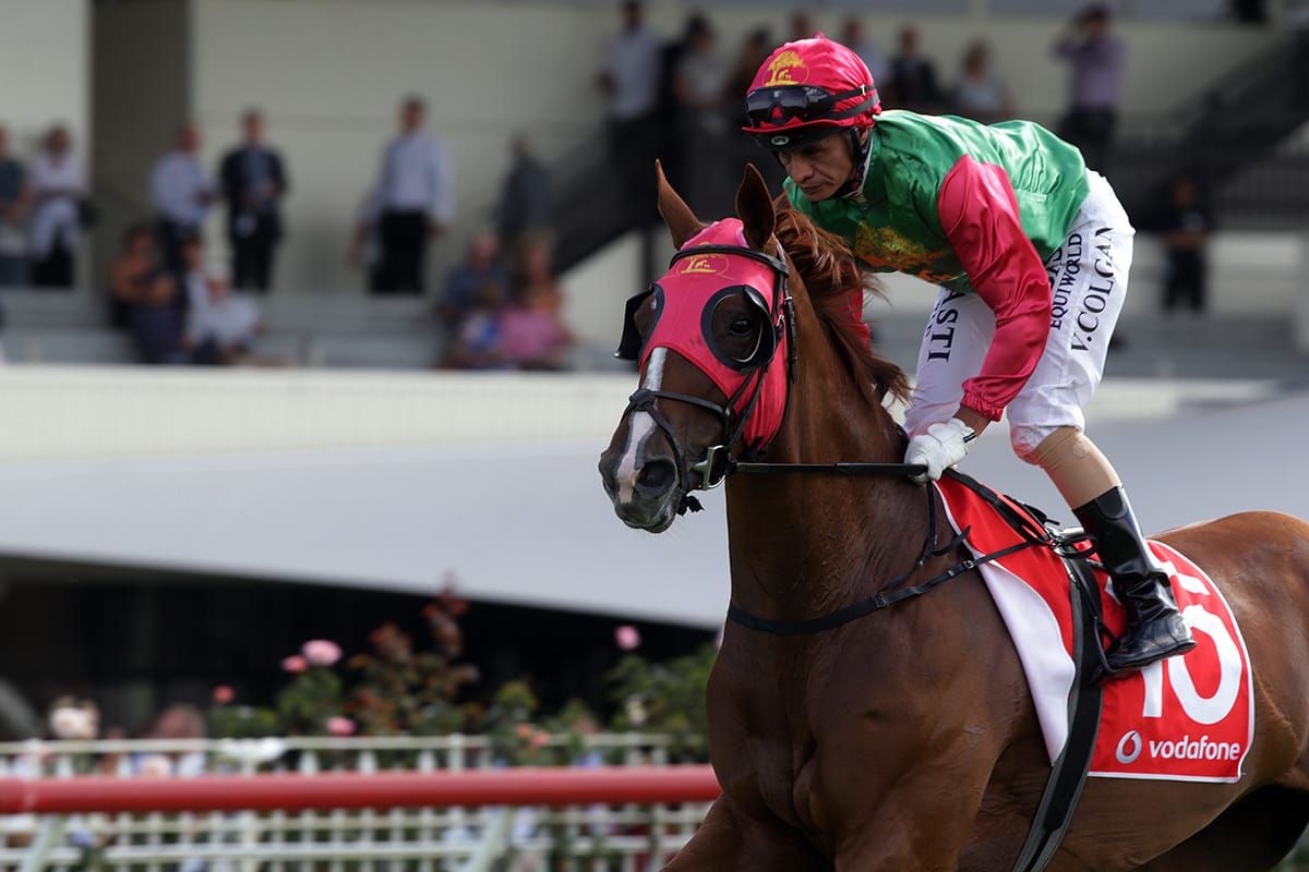 Colgan eager to make up for lost Group One