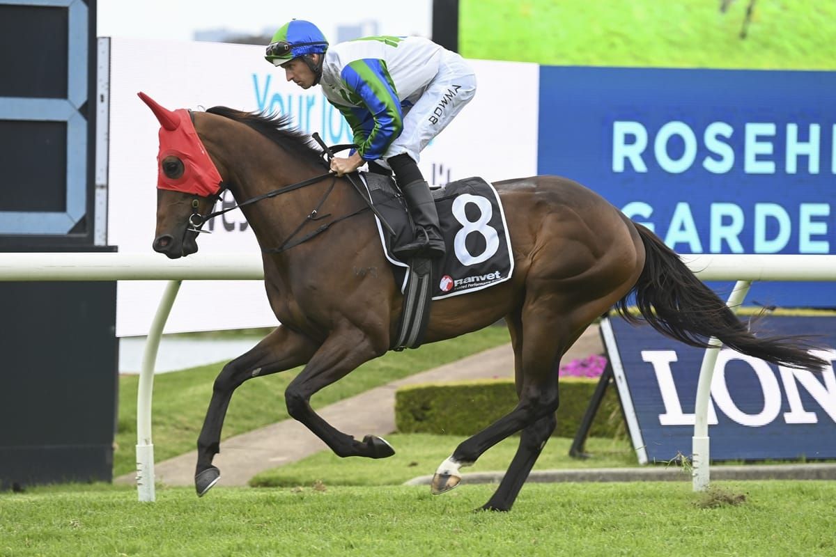 Bright future tipped for Waihaha Falls