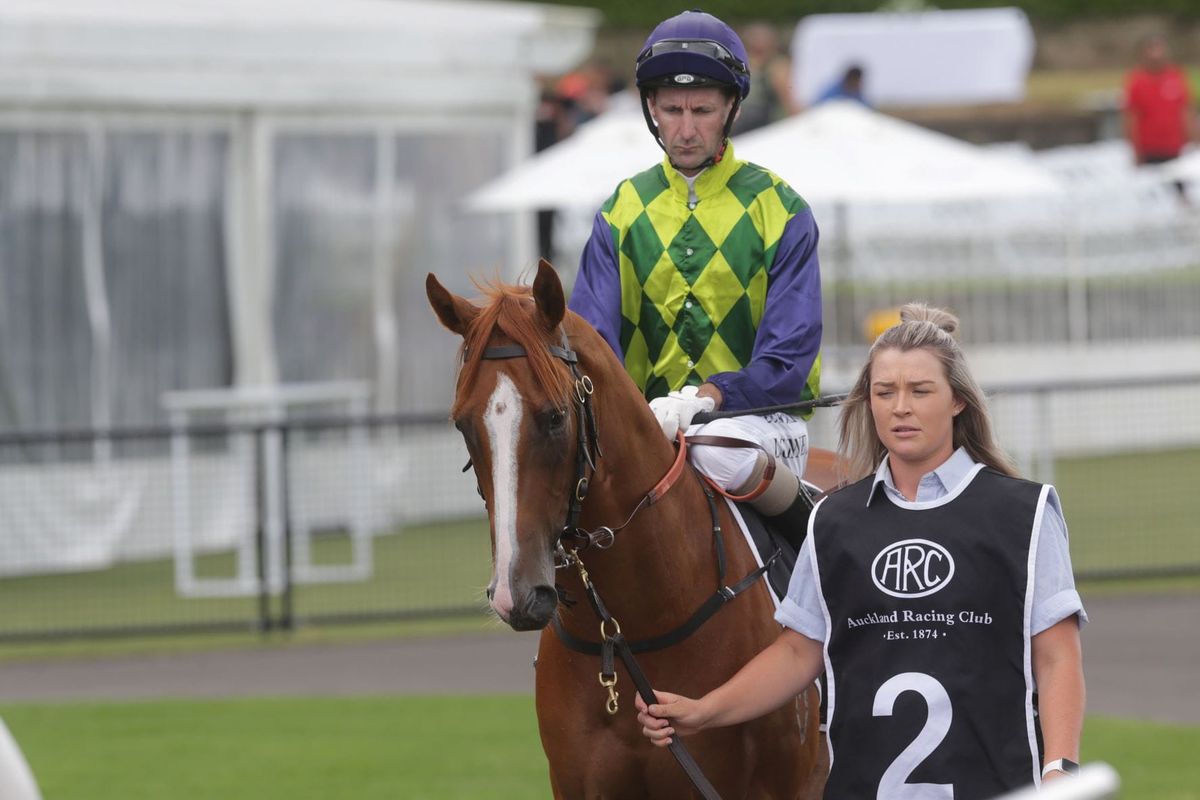 Autridge in search of more Karaka Gold