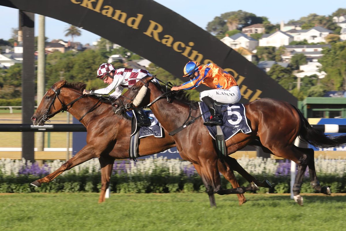 Options aplenty for Babylon Berlin