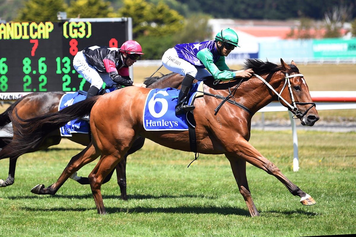 Bankers Choice makes light of tough Trentham task