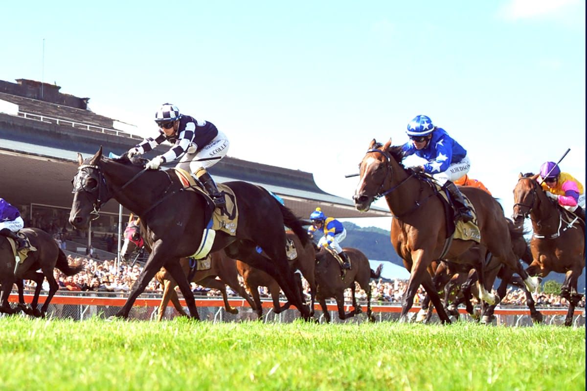 Bluey’s Chance takes underdog tag once again