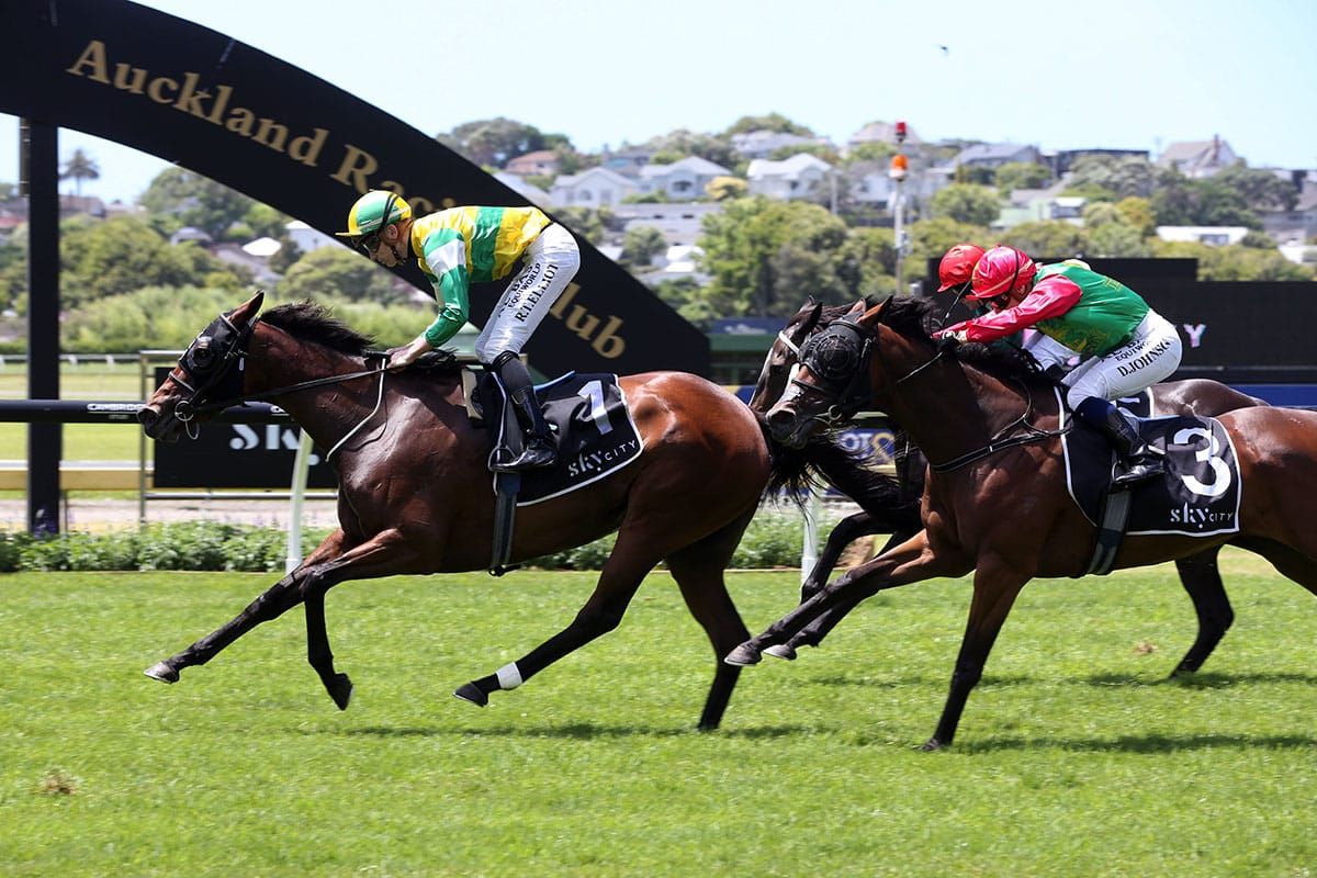 Concert Hall delivers tonic for Egan