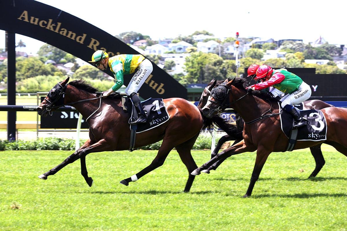 Trainers hoping good times continue to roll