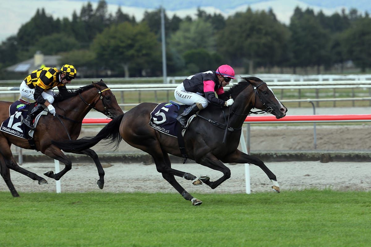 Patterson’s in-form stable set to star again