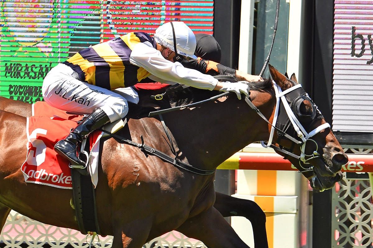 Four on the trot for Junior