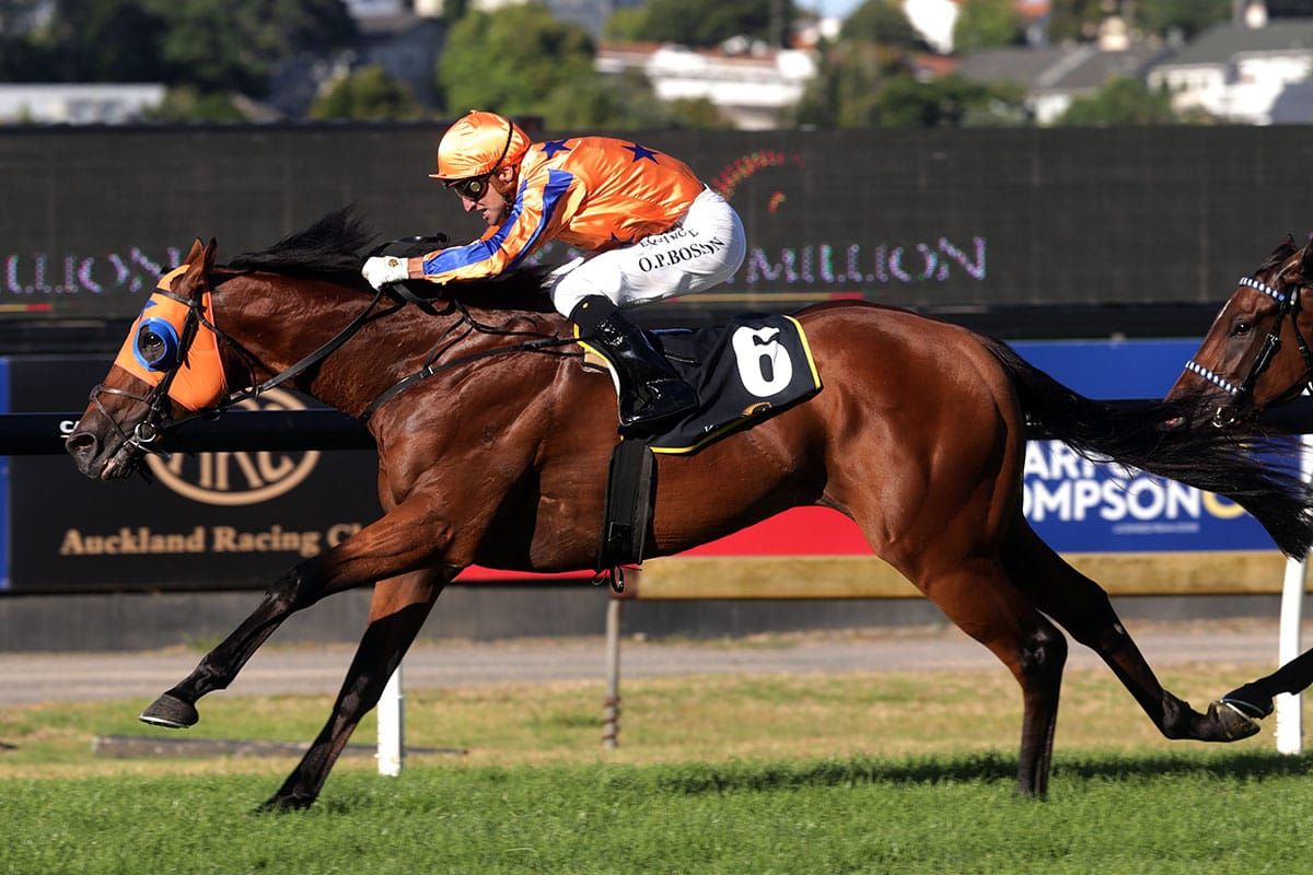 Breeders celebrate Karaka Million 2YO victory