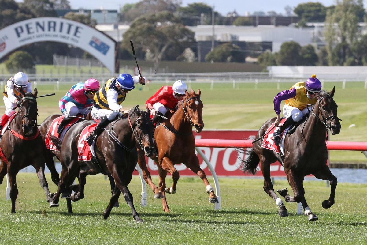 Browne stampede set to hit Aussie