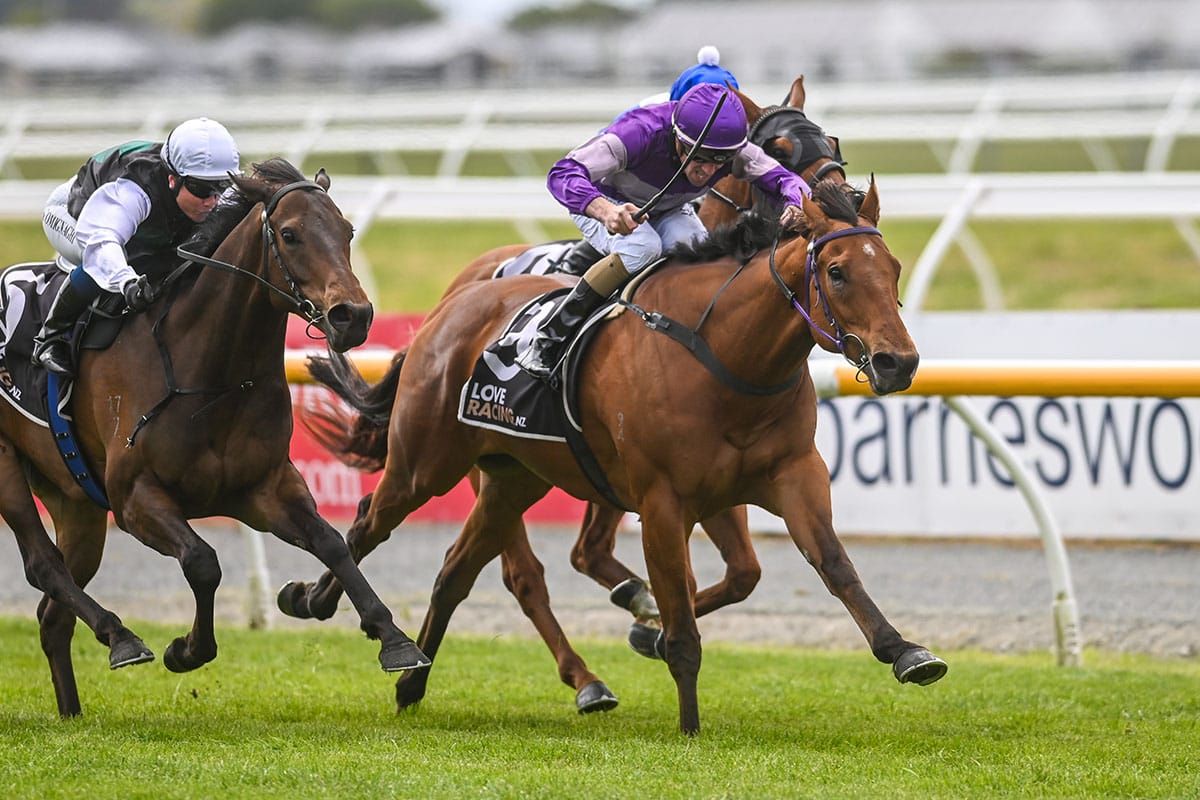 From dream to reality for Blackadder