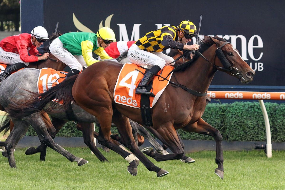 Lindsay Park to chase stakes race at Caulfield