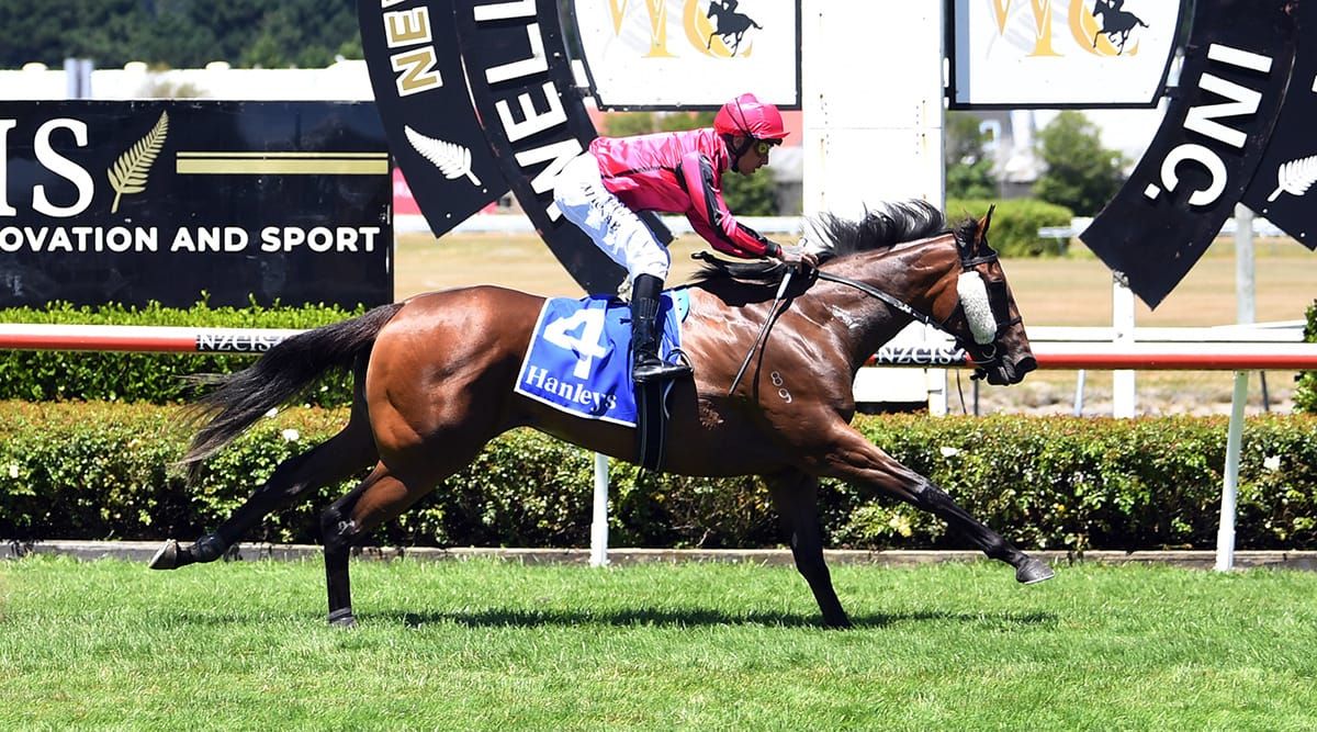 Hanalei too strong in Wellesley Stakes