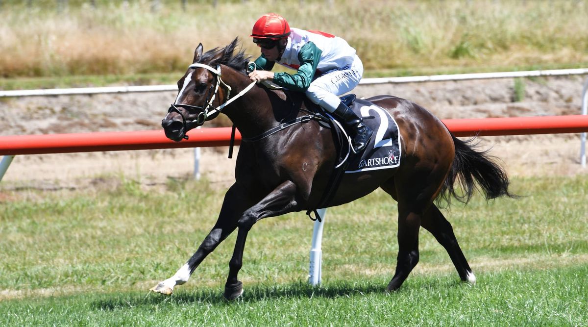 First goal in twelve-month plan ticked off by Iconic Star