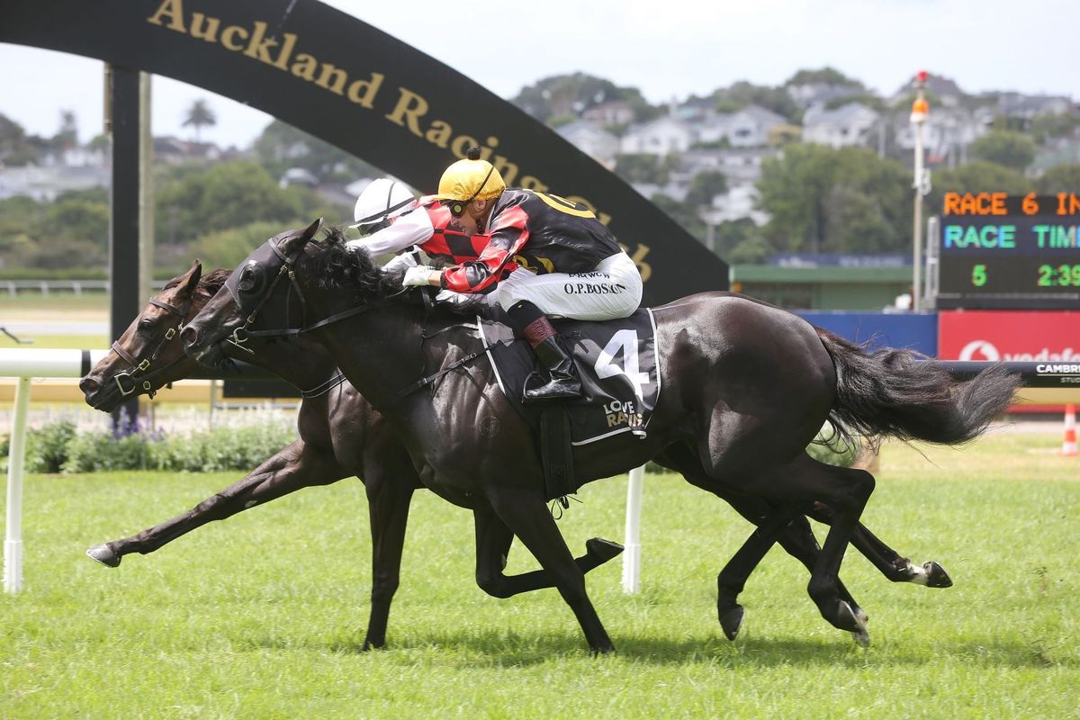 Oaks aspirations for La Crique