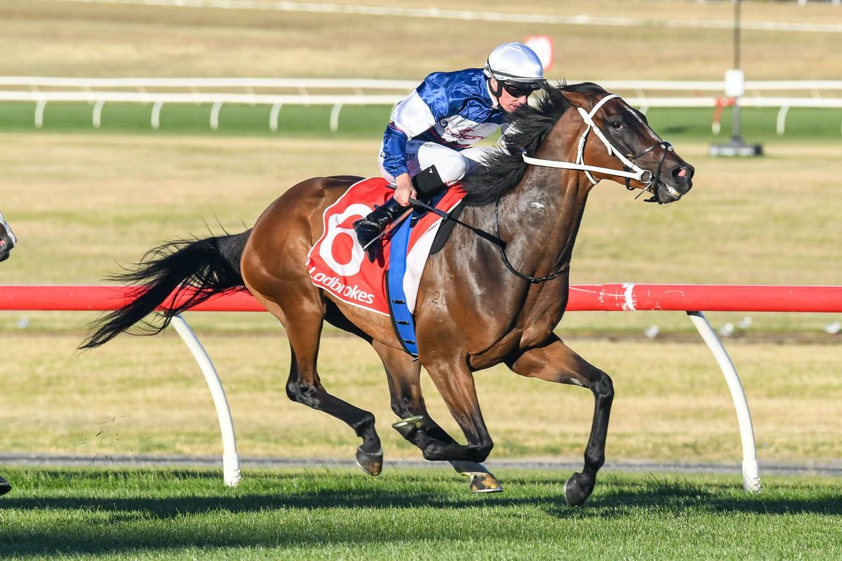 Go Racing keen to expand further into Australia