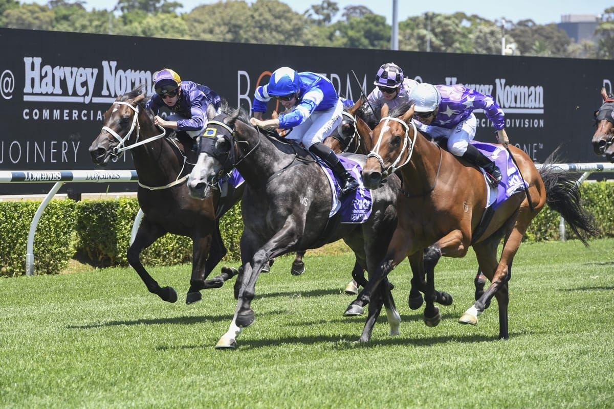 Improving stayer no Flash in the pan