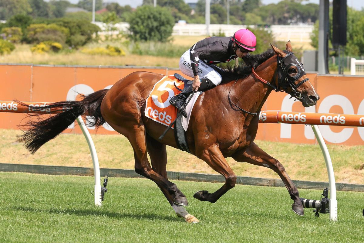 Freedmans Open Minded about Group One opportunity