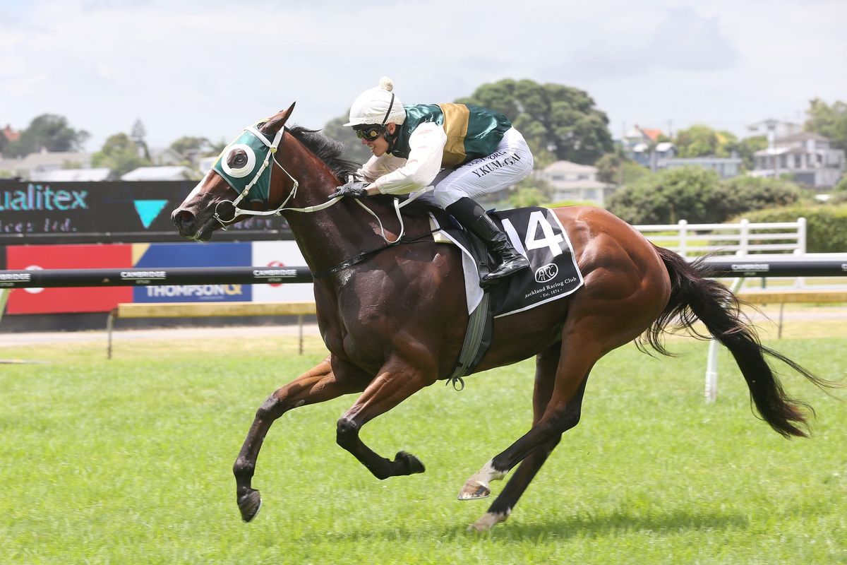 Family horse gives Cumming maiden training success