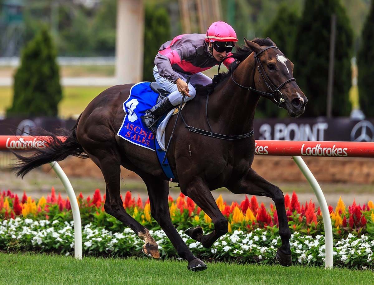 Zoltan prevails at The Valley under Meech special