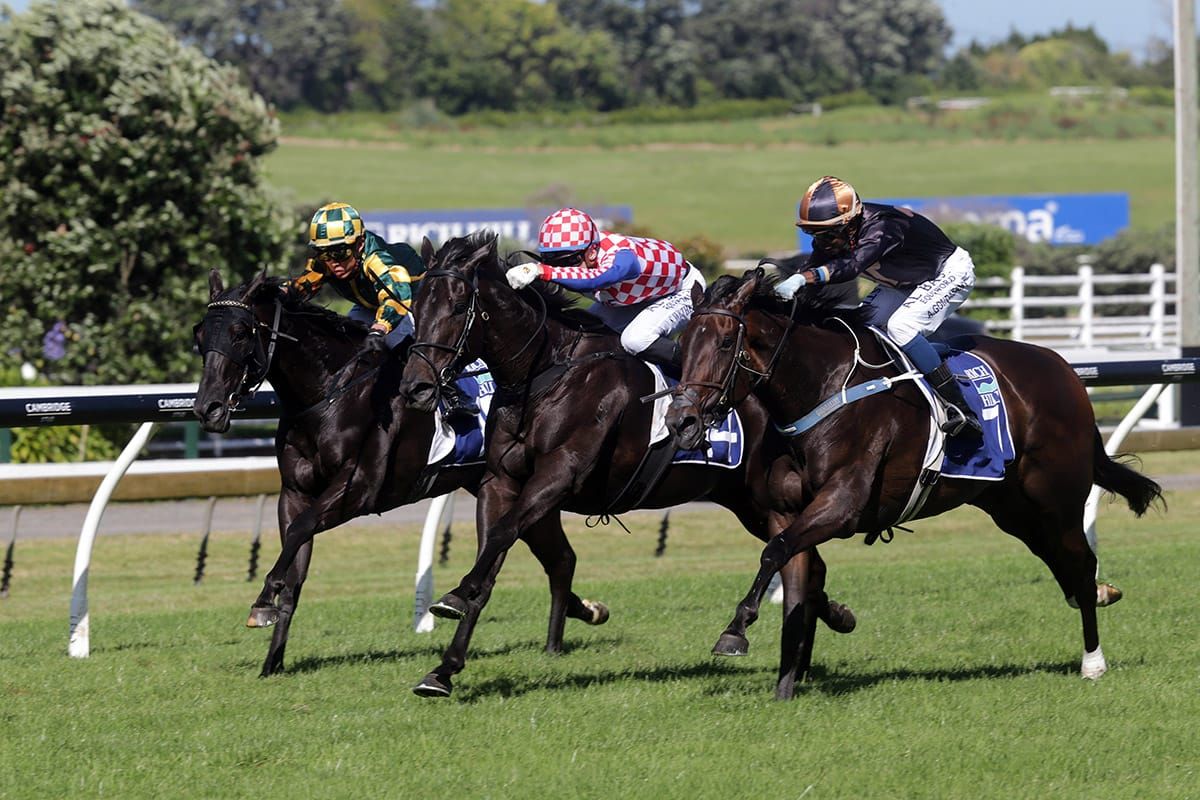 Weatherley hoping his luck holds at Trentham