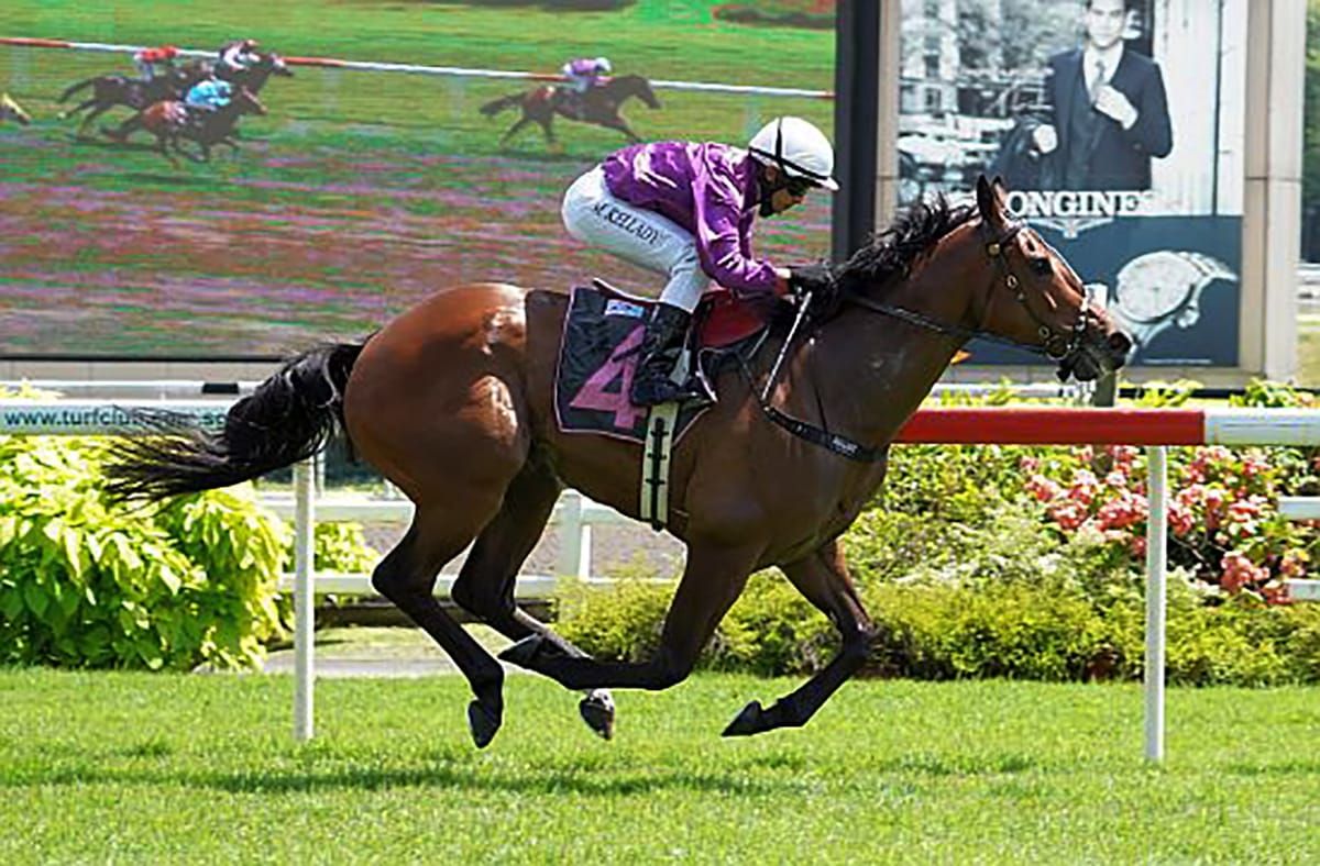 Red Ocean bounces back to best form
