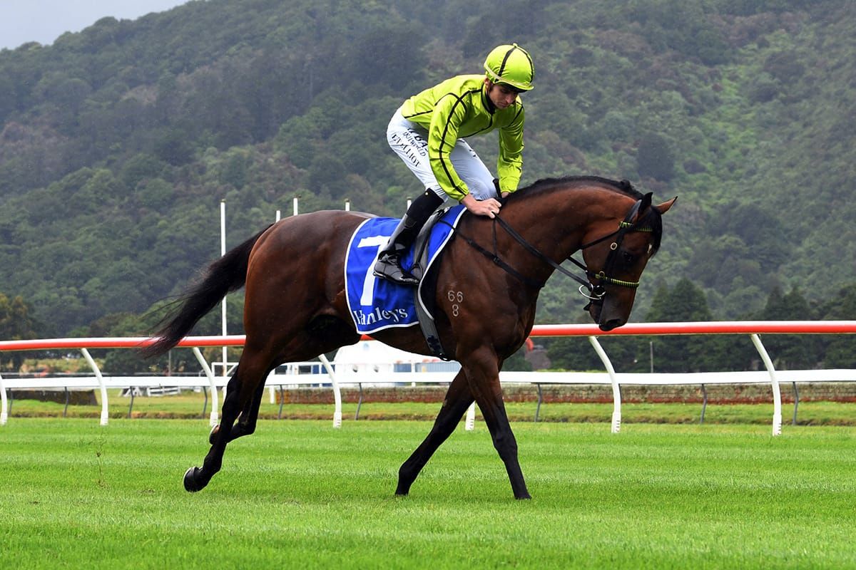 Bosson’s input vital to colt’s future