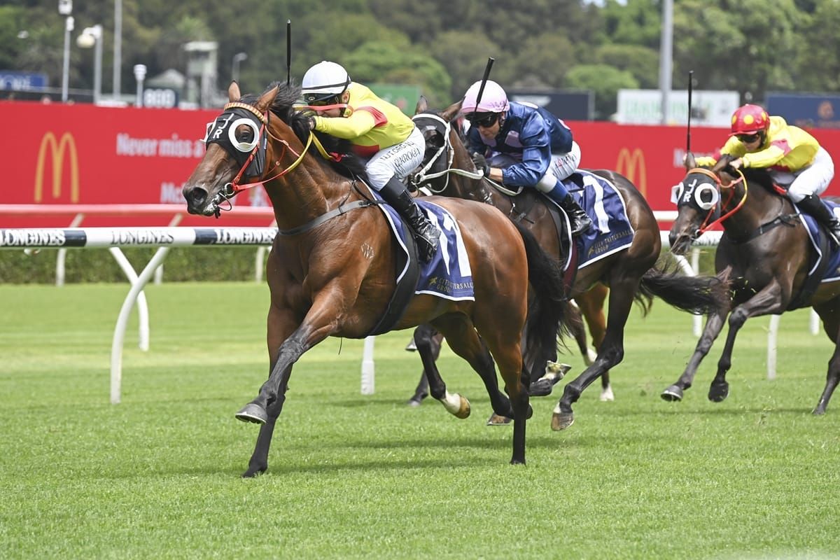 Kiwi-bred treble at Randwick