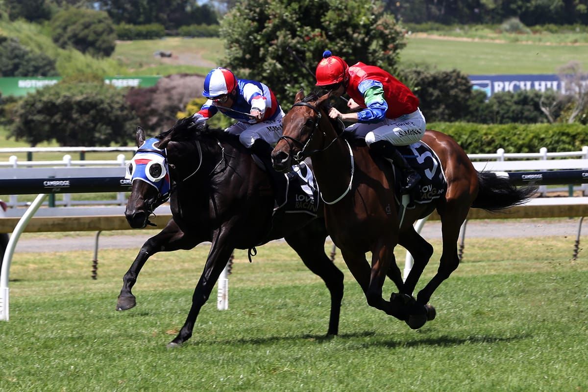 Self Obsession takes Royal Stakes in desperate finish