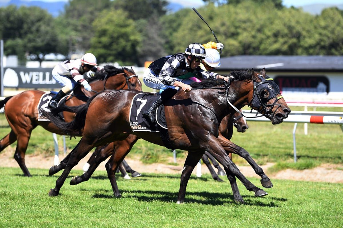 Sergio shoots for three straight