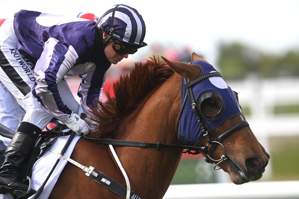 Rae launching southern Cup bid