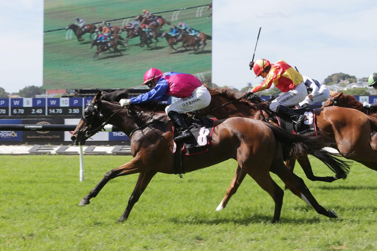 Spirit Of Baz rekindles fond memories at Ellerslie