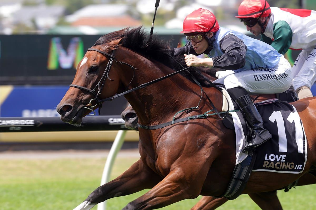 Tevere on song at Ellerslie