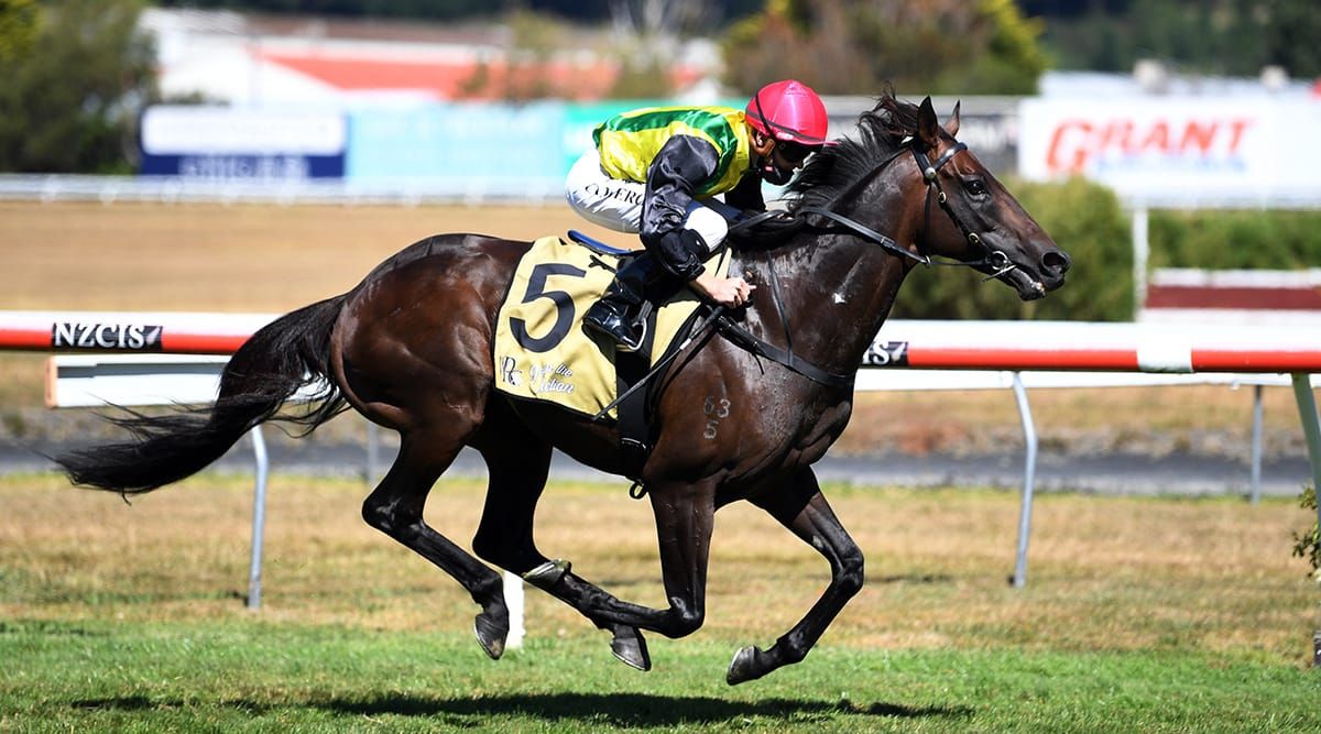 The Chosen One sparkles in Thorndon Mile