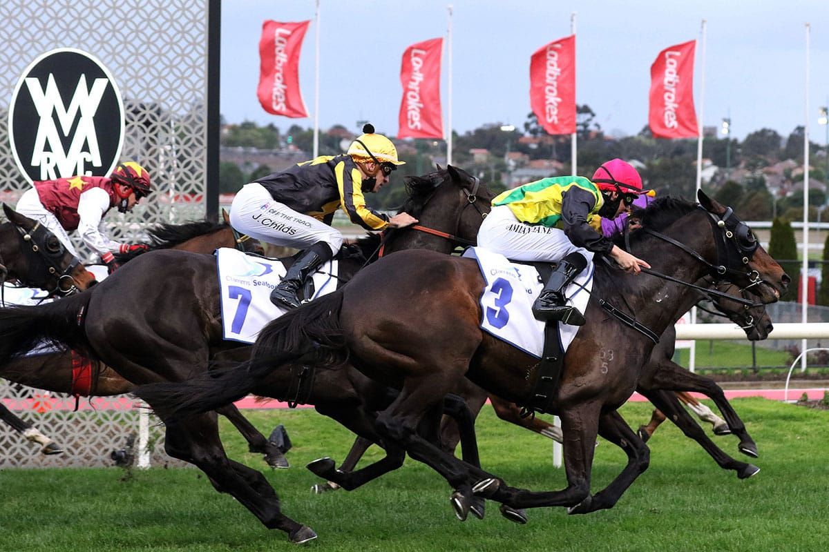 Cameron hoping he’s on the right one for Thorndon