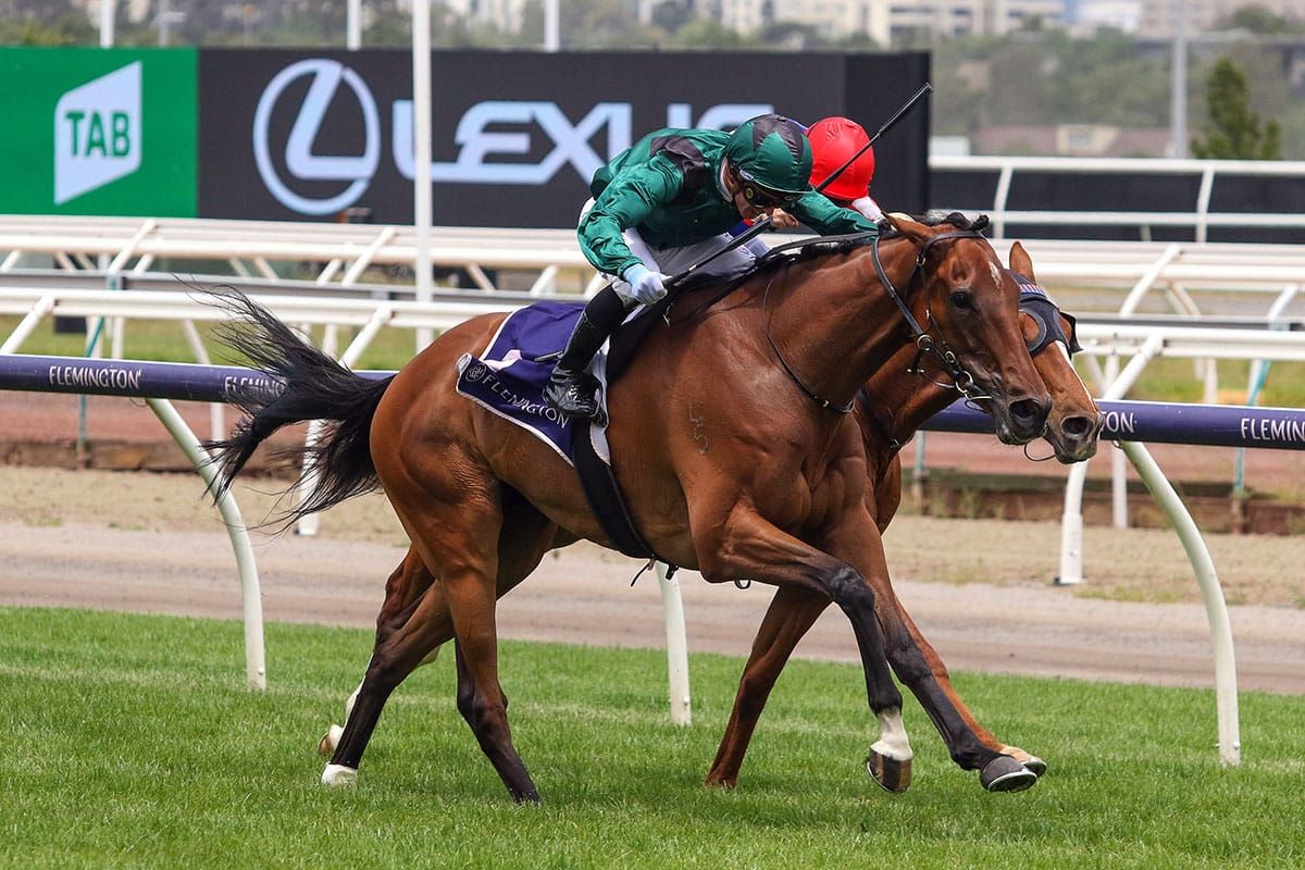 Group Two test for Tigertiger