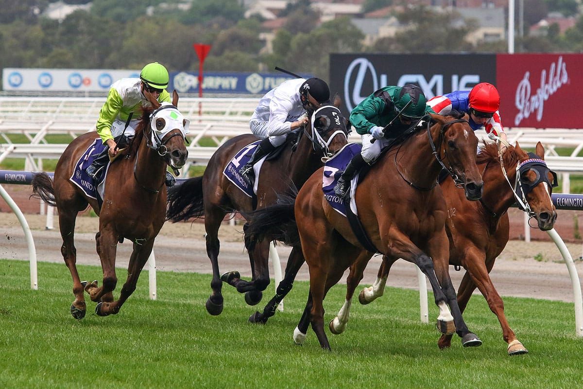 Progressive stayer Tigertiger wins Bagot