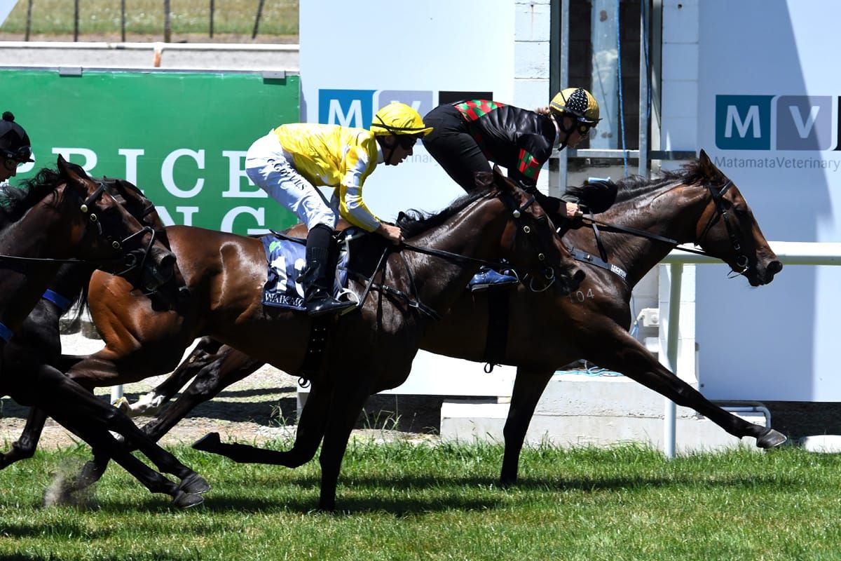 Exciting times ahead for Richardson