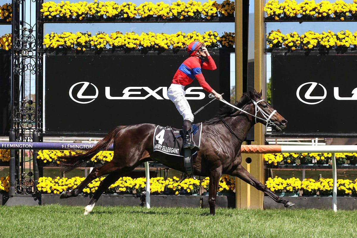 Verry Elleegant on top of the world