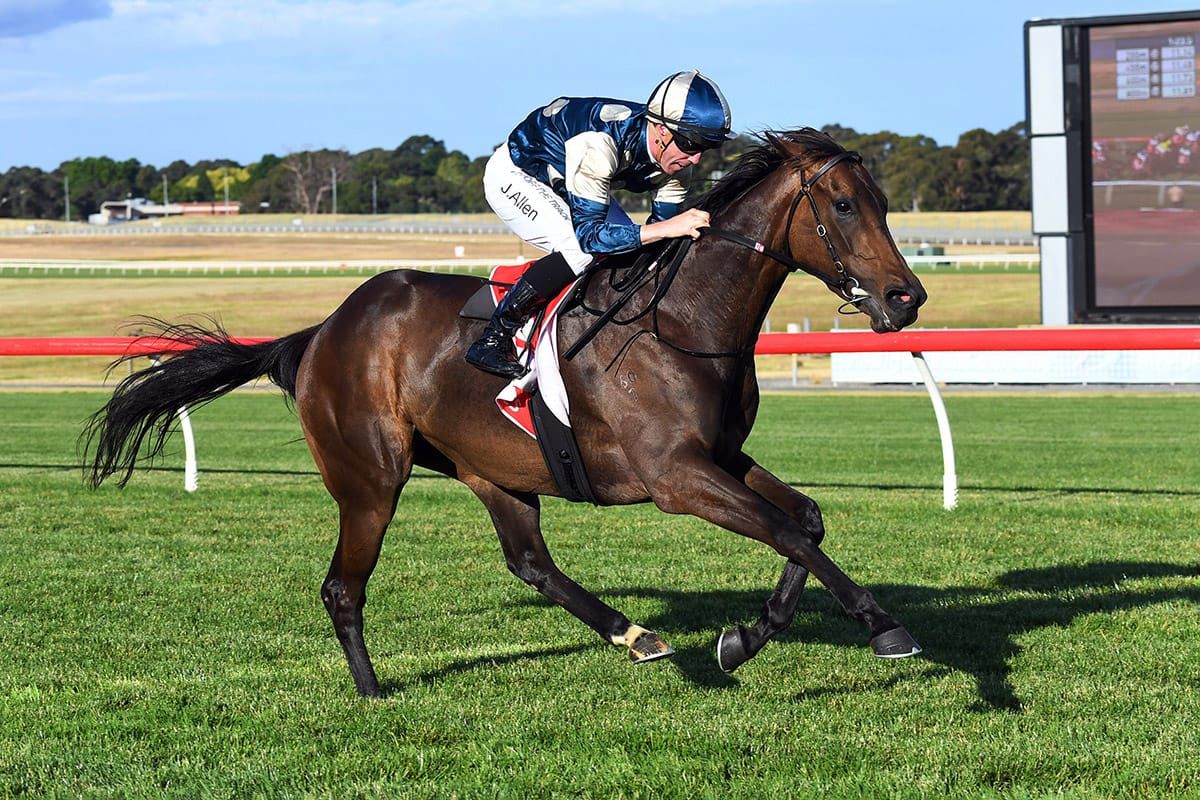 Yonce unbeaten after strong Sandown win