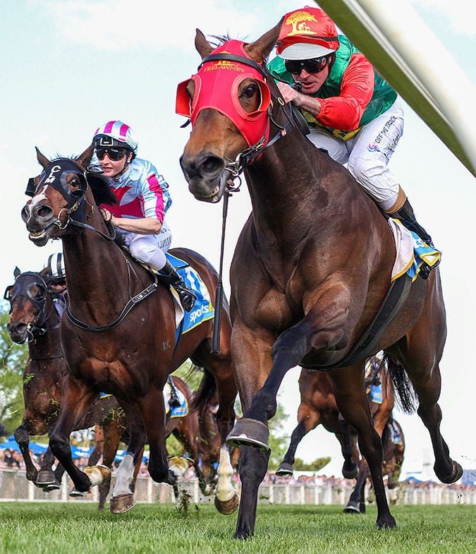 Zayydani top weight in Easter Cup