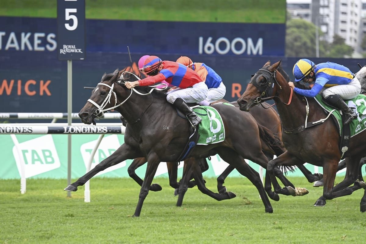 Second Chipping Norton for freakish mare