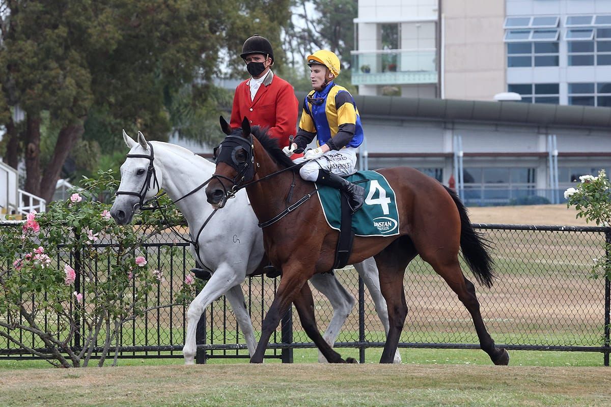 Are we going to the Derby? Ess Vee Are