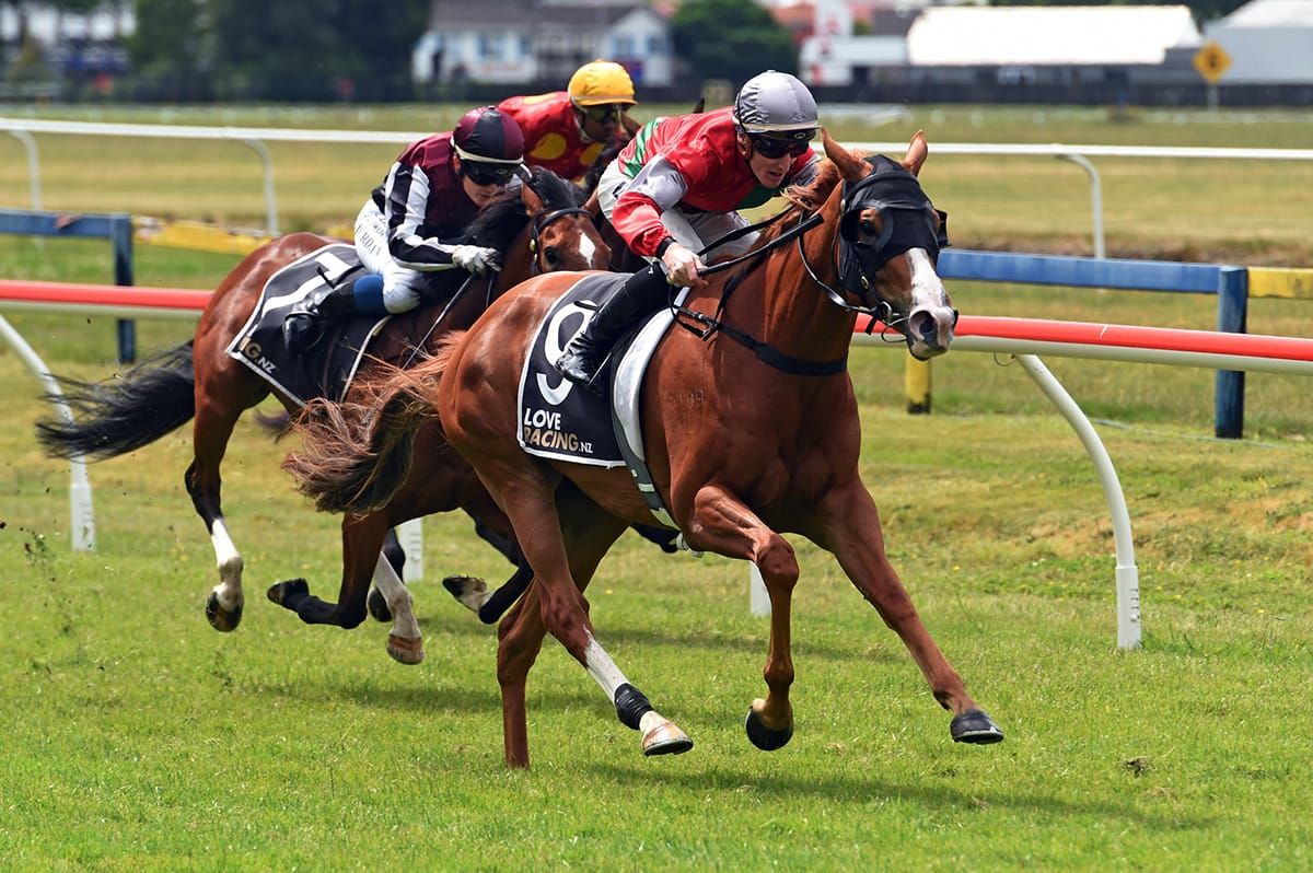 Surprise packet now chasing black type honours