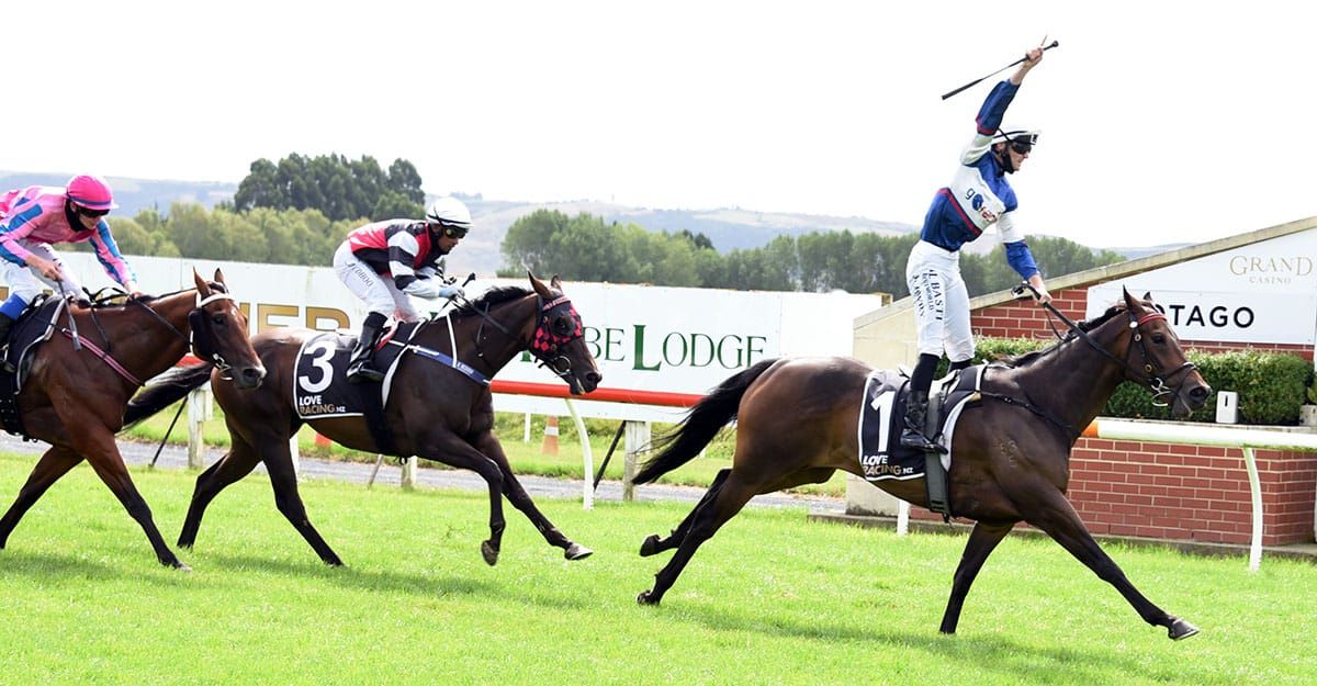 High-flying Hasabro shines on mixed day for Go Racing