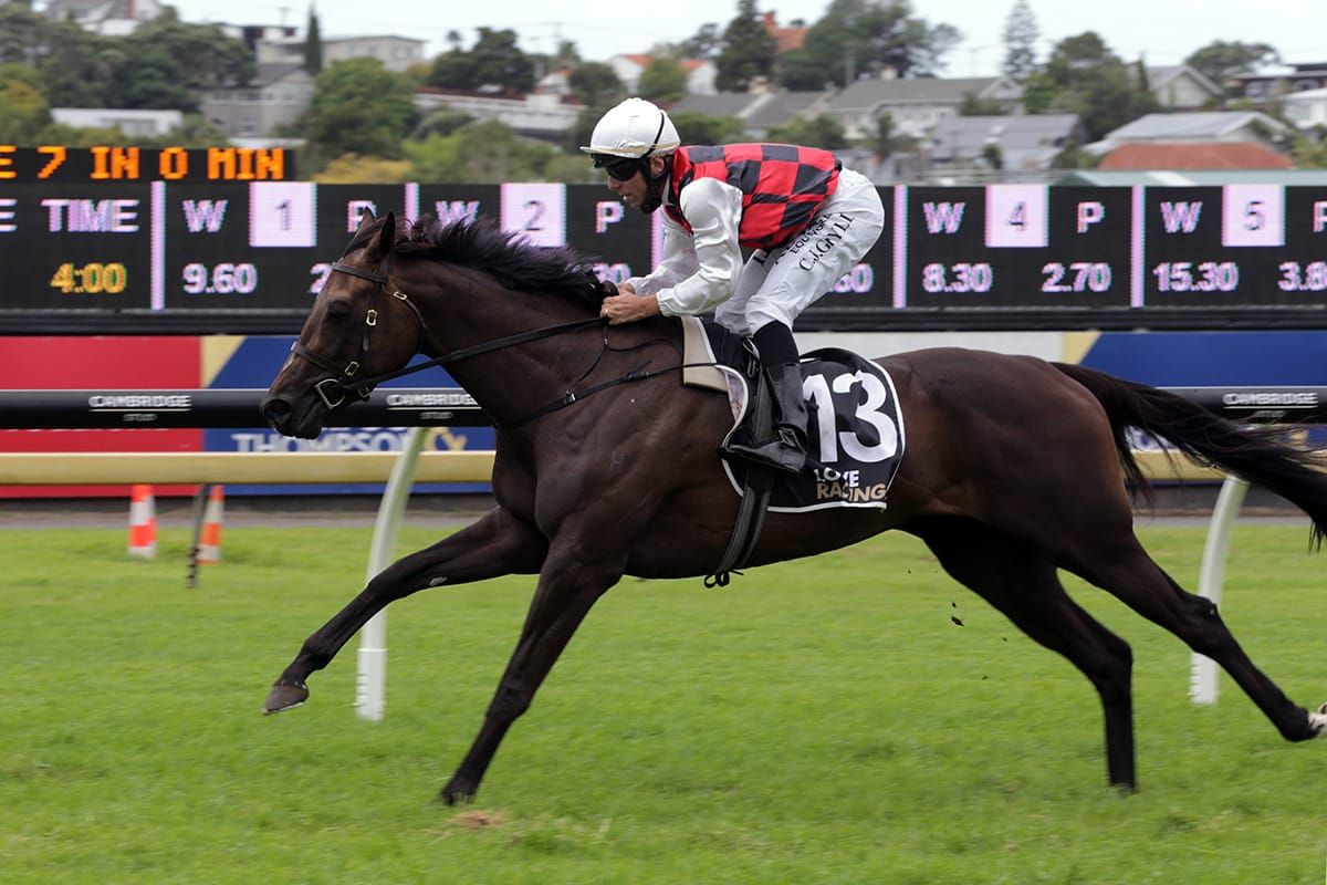 Colgan to reunite with Derby Favourite