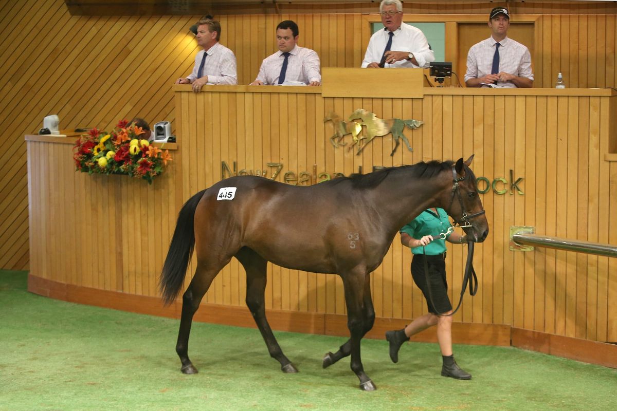 Dunlop excited by Karaka 2022 line-up