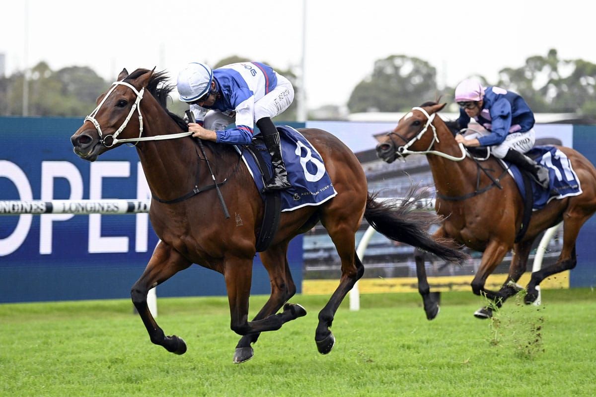 Mightybeel dominant in Parramatta Cup