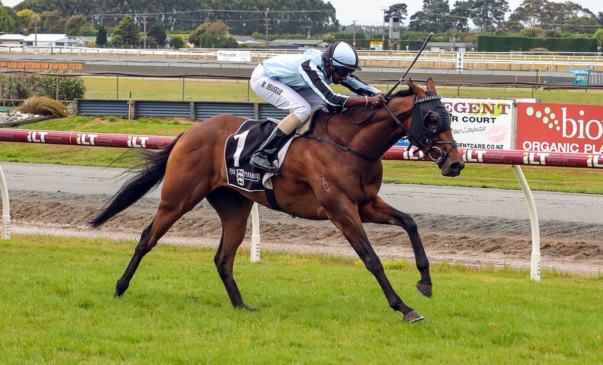 Hometown glory for McKay and Palmetto